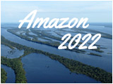 Amazon, through the equator
