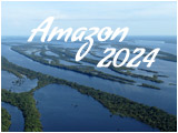 Amazon by high water